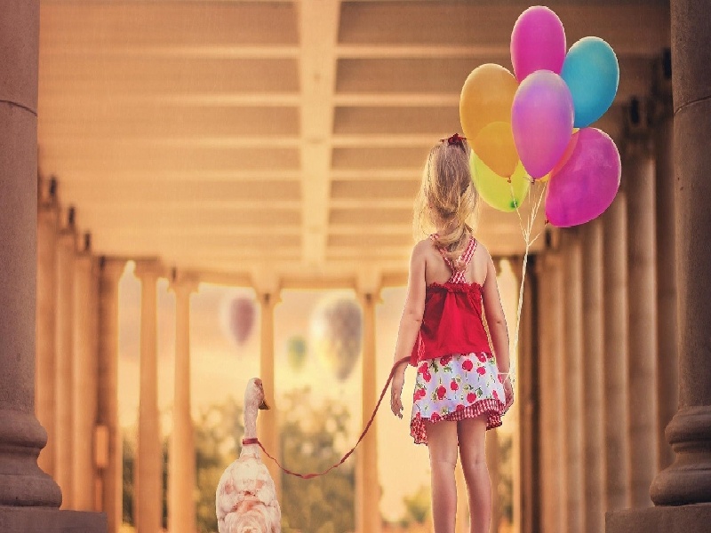 试管木棉花，试管前避开坑