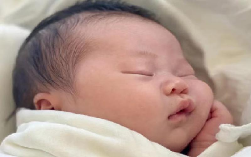 试管海参早餐吃代生